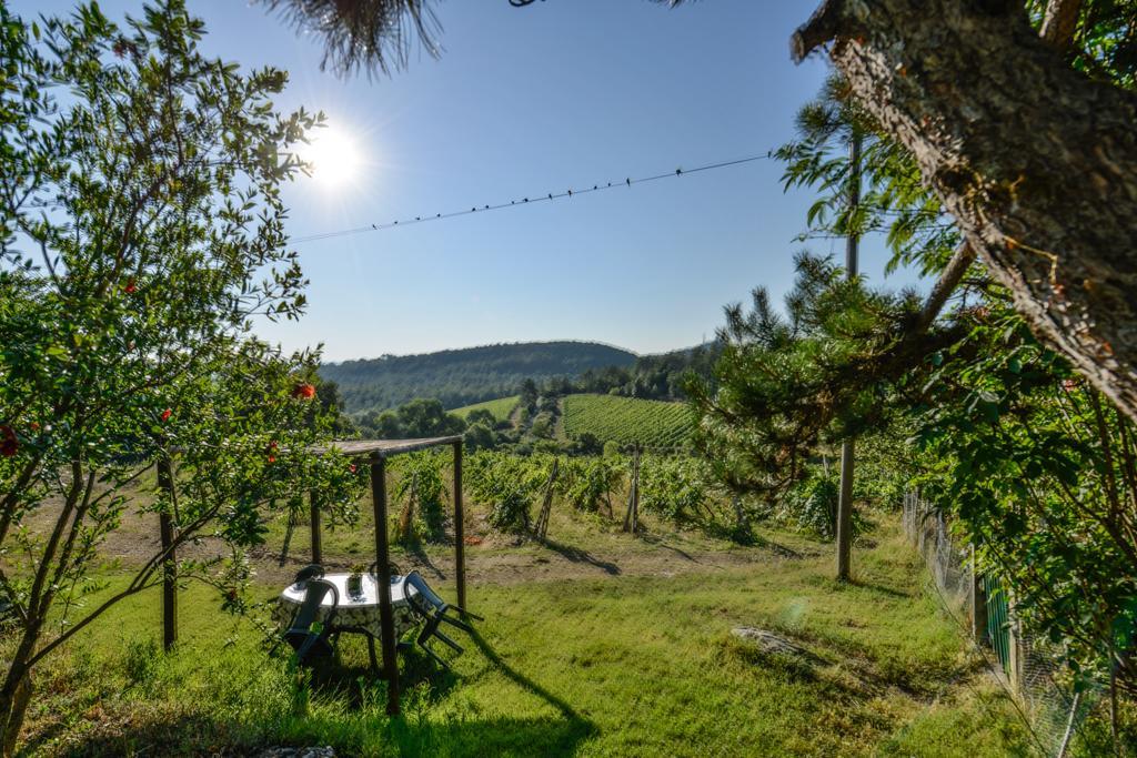 Agriturismo Fattoria Di Gratena Arezzo Extérieur photo