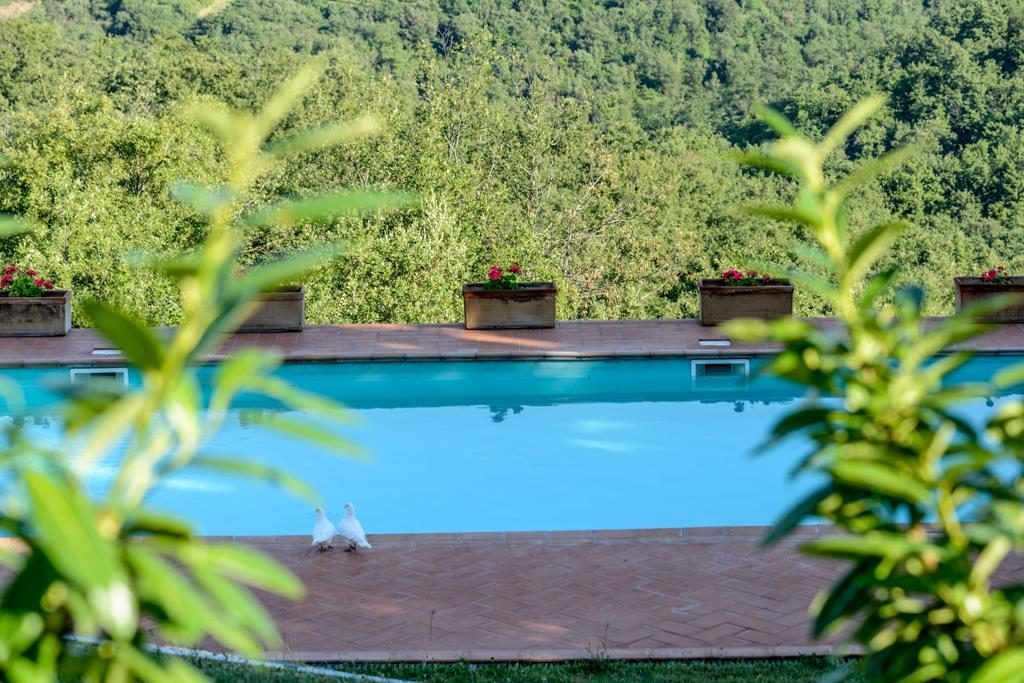 Agriturismo Fattoria Di Gratena Arezzo Extérieur photo