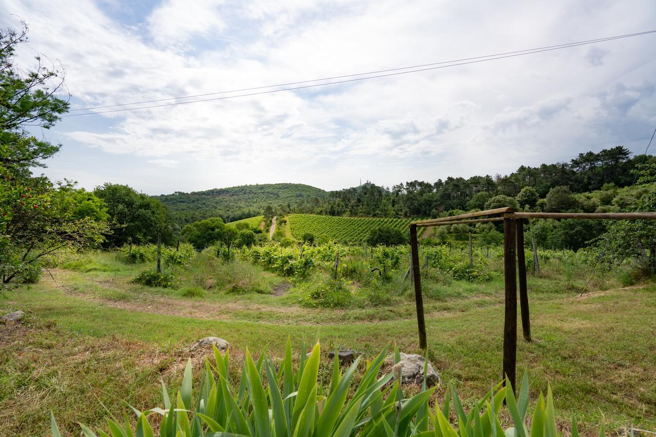 Agriturismo Fattoria Di Gratena Arezzo Extérieur photo